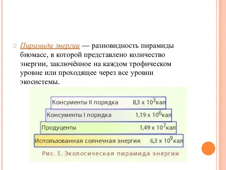 Пирамида энергии — разновидность пирамиды биомасс, в которой представлено количество энергии,