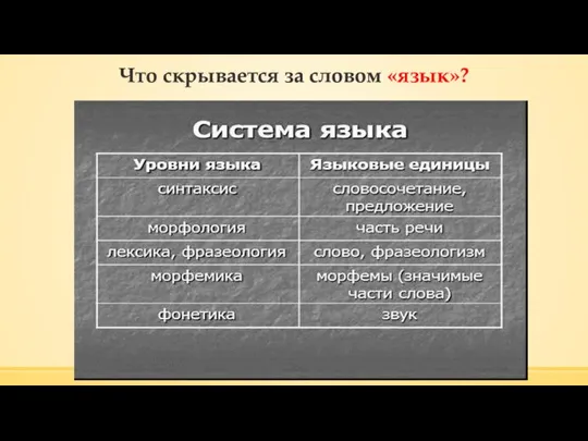 Что скрывается за словом «язык»?