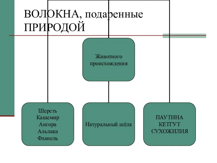 ВОЛОКНА, подаренные ПРИРОДОЙ