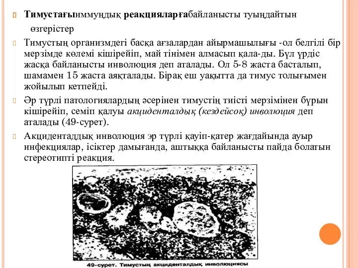 Тимустағыиммуңдық реакцияларғабайланысты туыңдайтын өзгерістер Тимустың организмдегі басқа ағзалардан айырмашылығы -ол белгілі