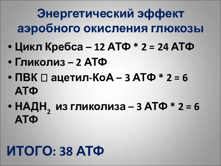 Энергетический эффект аэробного окисления глюкозы Цикл Кребса – 12 АТФ *