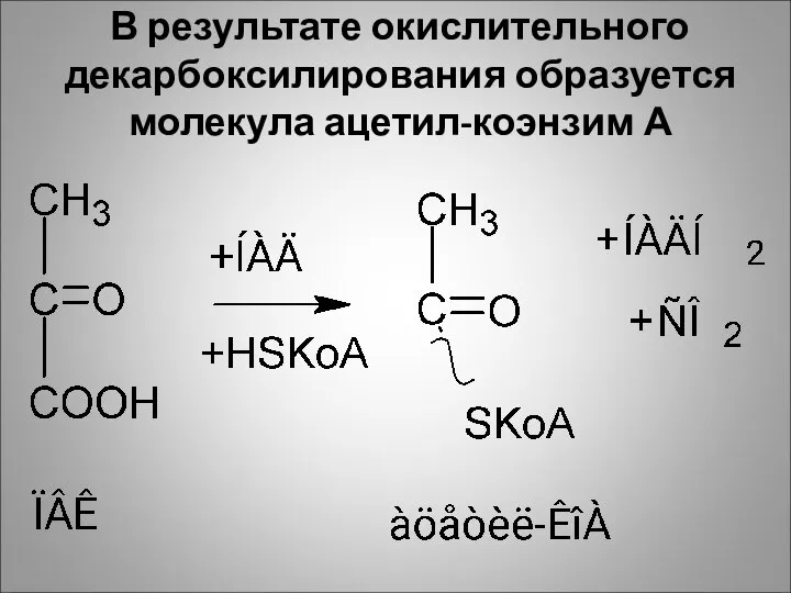 В результате окислительного декарбоксилирования образуется молекула ацетил-коэнзим А