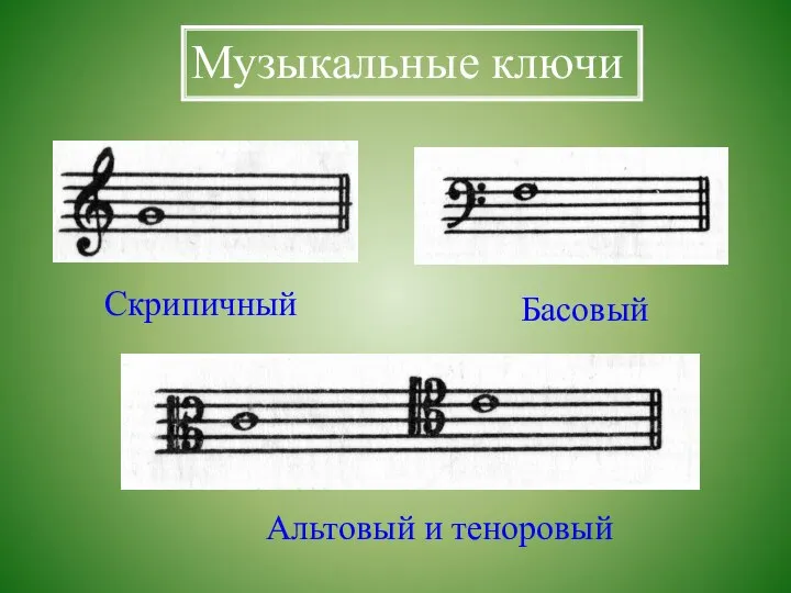 Музыкальные ключи Скрипичный Басовый Альтовый и теноровый