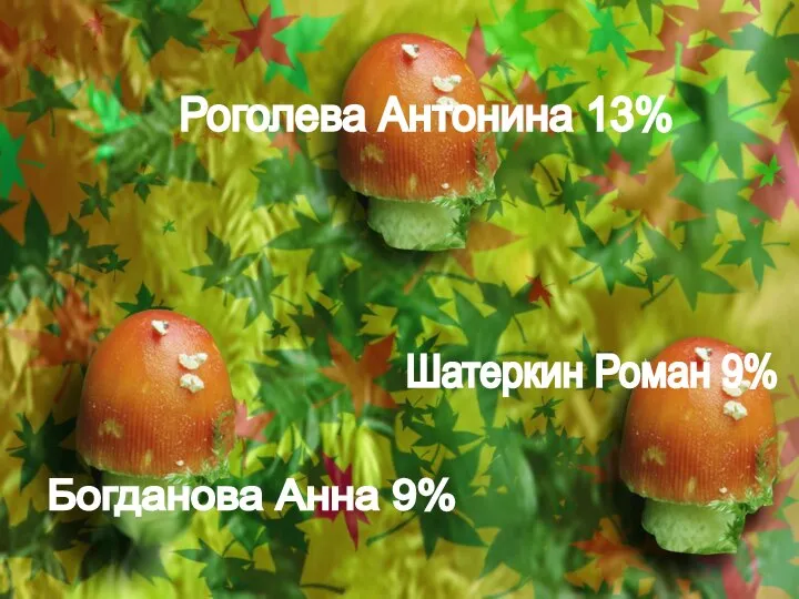 Богданова Анна 9% Шатеркин Роман 9% Роголева Антонина 13%