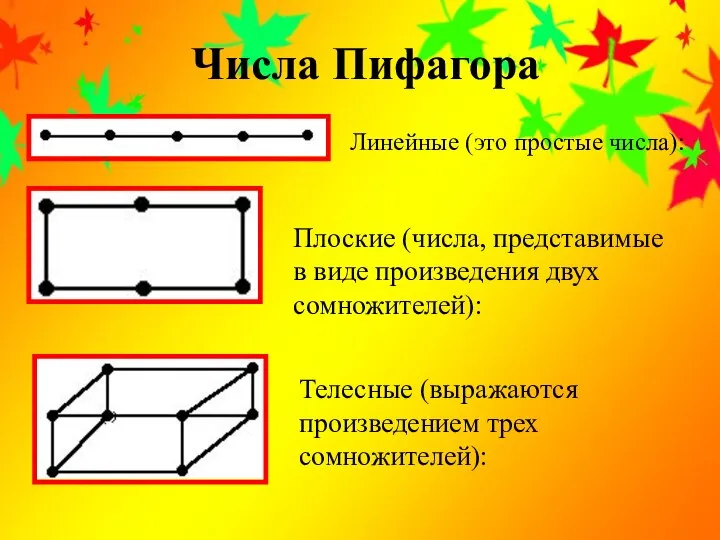 Телесные (выражаются произведением трех сомножителей): Линейные (это простые числа): Плоские (числа,