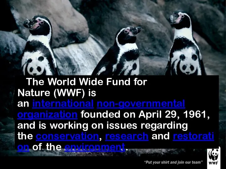 The World Wide Fund for Nature (WWF) is an international non-governmental