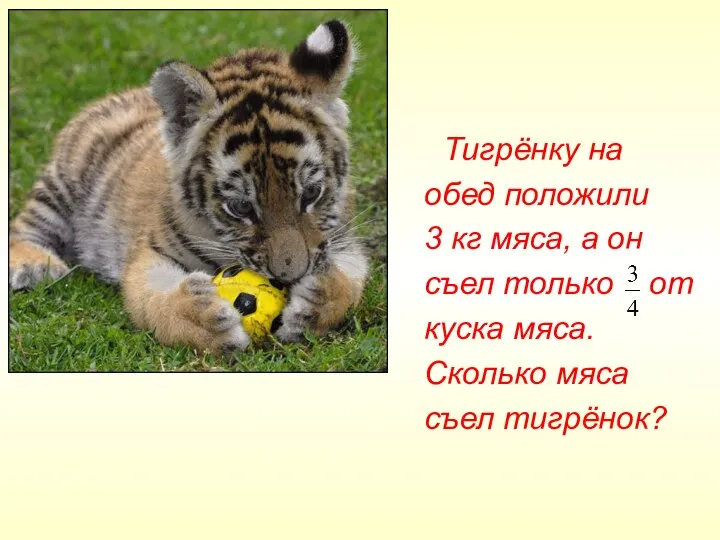 Тигрёнку на обед положили 3 кг мяса, а он съел только