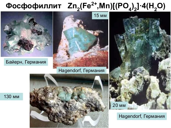 Фосфофиллит Zn2(Fe2+,Mn)[(PO4)2]·4(H2O) 130 мм 20 мм Hagendorf, Германия 15 мм Hagendorf, Германия Байерн, Германия