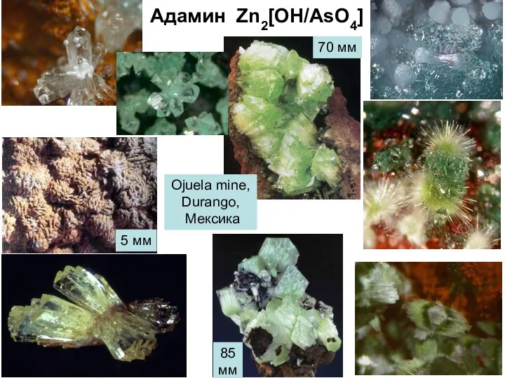 Адамин Zn2[OH/AsO4] 70 мм Ojuela mine, Durango, Мексика 85 мм 5 мм