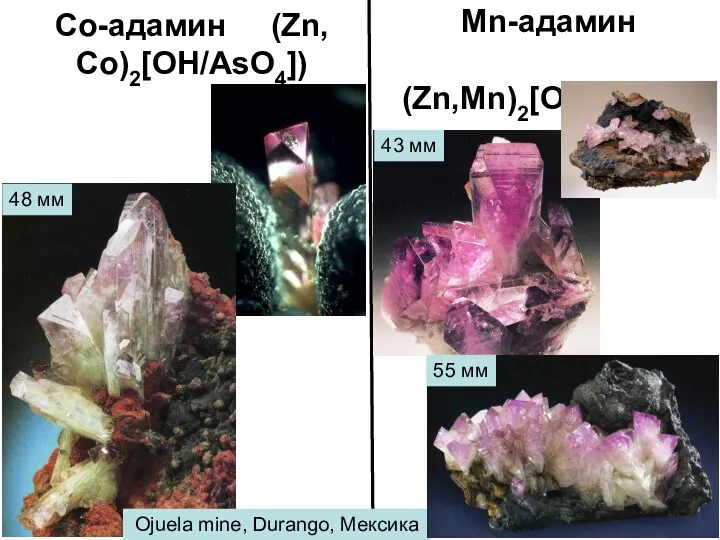 Со-адамин (Zn,Со)2[OH/AsO4]) Mn-адамин (Zn,Mn)2[OH/AsO4]) 48 мм Ojuela mine, Durango, Мексика 43 мм 55 мм