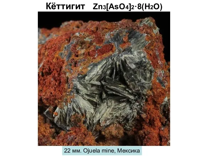 Кёттигит Zn3[AsO4]2·8(H2O) 22 мм. Ojuela mine, Мексика