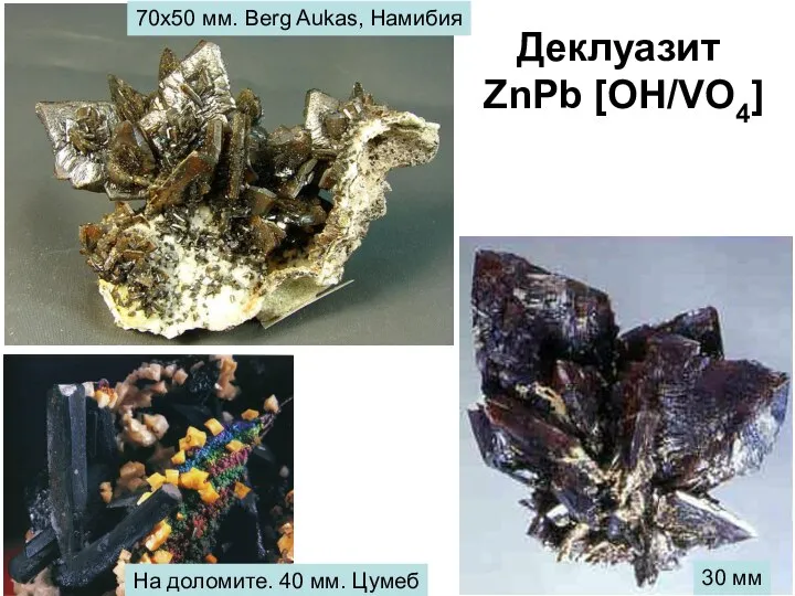 Деклуазит ZnPb [OH/VO4] На доломите. 40 мм. Цумеб 30 мм 70х50 мм. Berg Aukas, Намибия