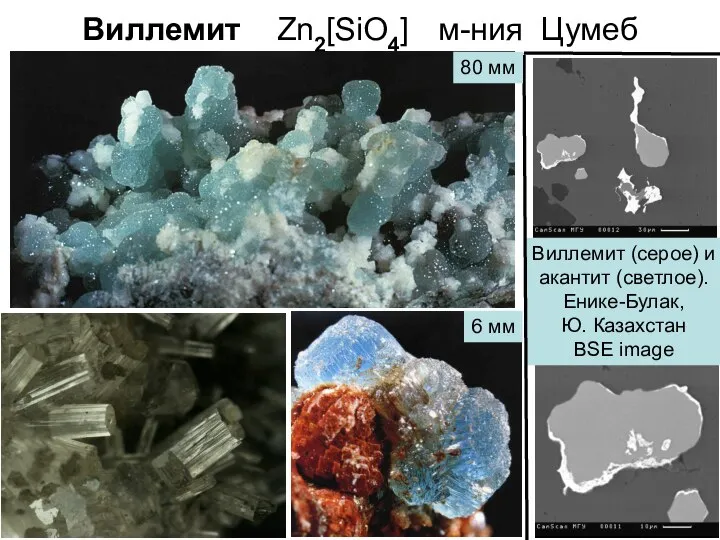 Виллемит Zn2[SiO4] м-ния Цумеб Виллемит (серое) и акантит (светлое). Енике-Булак, Ю.