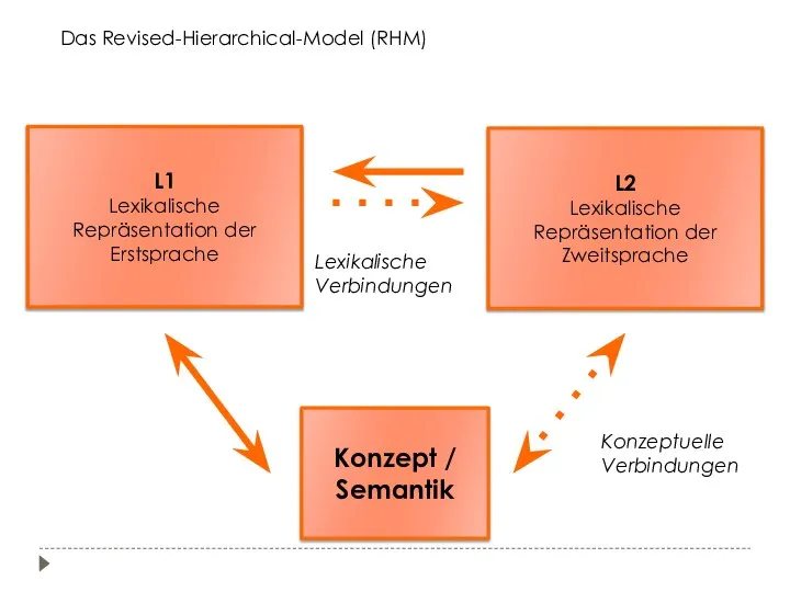 L1 Lexikalische Repräsentation der Erstsprache L2 Lexikalische Repräsentation der Zweitsprache Konzept