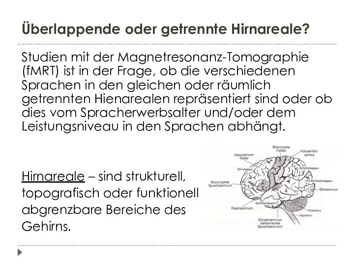 Überlappende oder getrennte Hirnareale? Studien mit der Magnetresonanz-Tomographie (fMRT) ist in