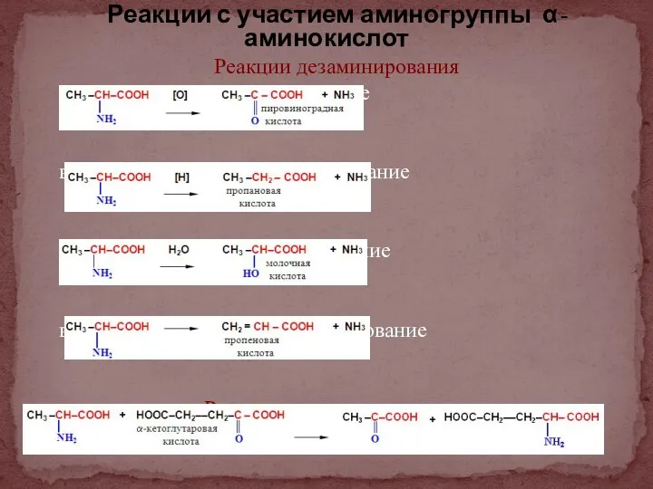 Реакции с участием аминогруппы α-аминокислот Реакции дезаминирования окислительное дезаминирование восстановительное дезаминирование