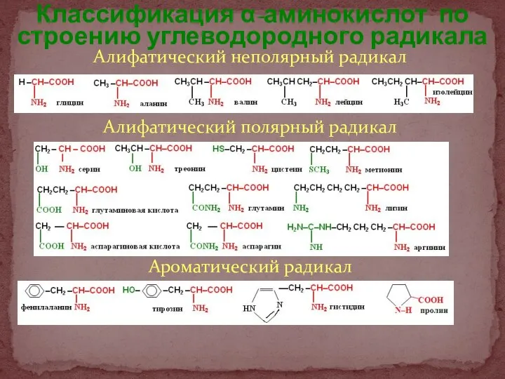 Алифатический неполярный радикал Алифатический полярный радикал Ароматический радикал Классификация α-аминокислот по строению углеводородного радикала