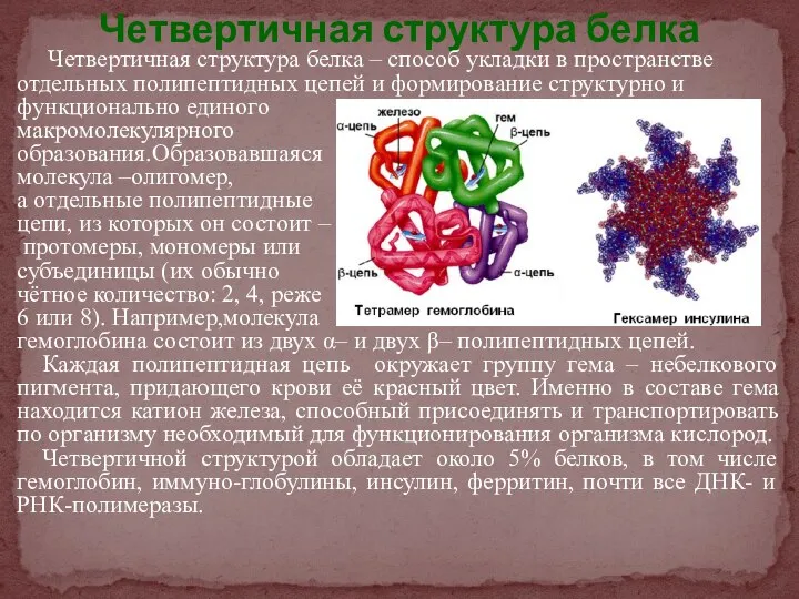 Четвертичная структура белка Четвертичная структура белка – способ укладки в пространстве
