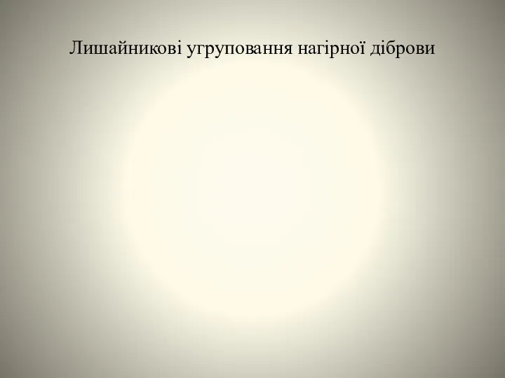 Лишайникові угруповання нагірної діброви