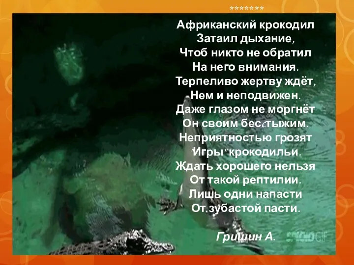 ******* Африканский крокодил Затаил дыхание, Чтоб никто не обратил На него