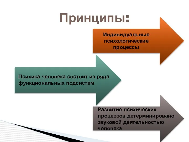 Принципы: Индивидуальные психологические процессы Психика человека состоит из ряда функциональных подсистем