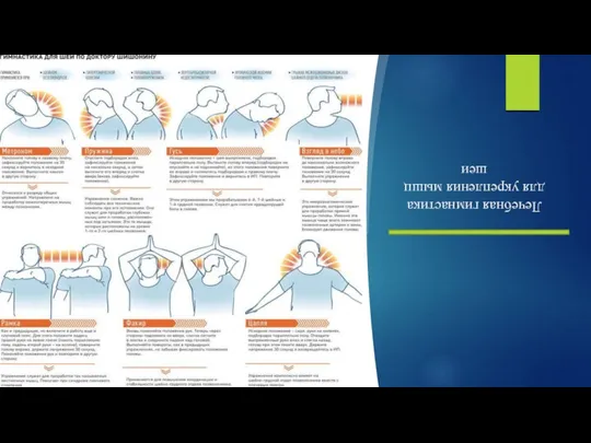 Лечебная гимнастика для укрепления мышц шеи