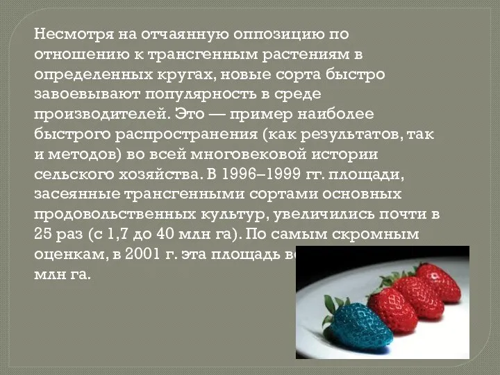 Несмотря на отчаянную оппозицию по отношению к трансгенным растениям в определенных