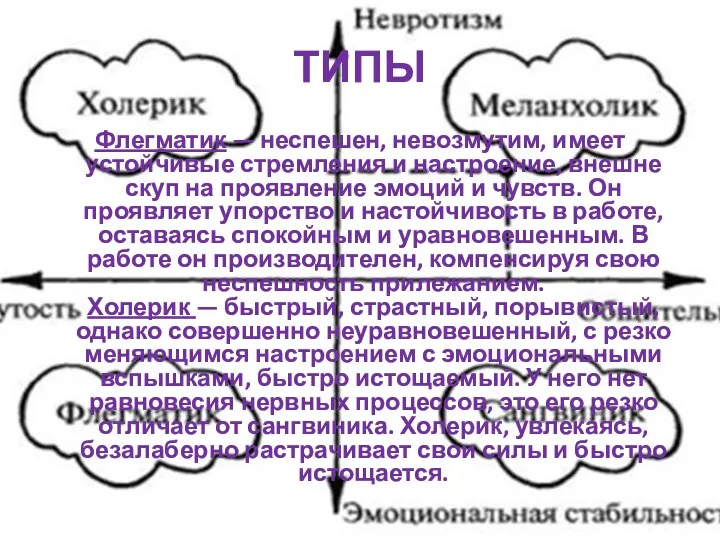 ТИПЫ Флегматик — неспешен, невозмутим, имеет устойчивые стремления и настроение, внешне