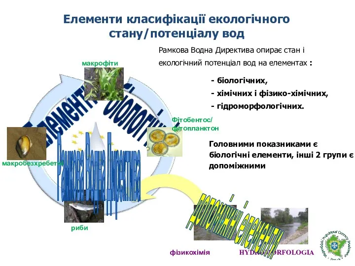 HYDROMORFOLOGIA Елементи класифікації екологічного стану/потенціалу вод - біологічних, - хімічних і