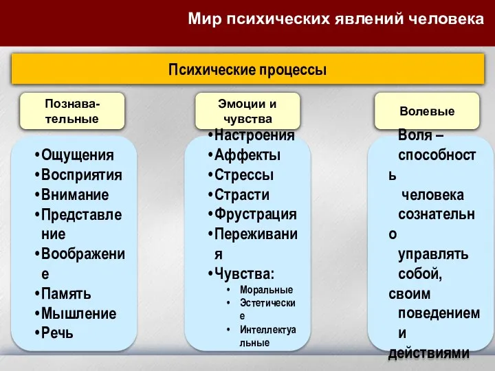 Мир психических явлений человека Психические процессы Познава-тельные Эмоции и чувства Волевые