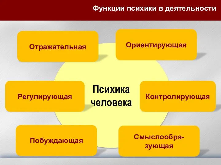 Психика человека Функции психики в деятельности Отражательная Ориентирующая Регулирующая Контролирующая Побуждающая Смыслообра-зующая