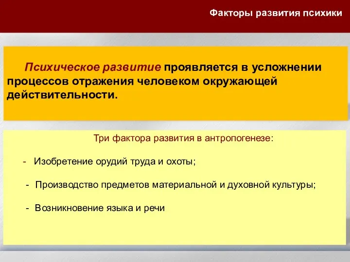 Психическое развитие проявляется в усложнении процессов отражения человеком окружающей действительности. Три