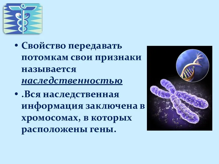 Свойство передавать потомкам свои признаки называется наследственностью .Вся наследственная информация заключена