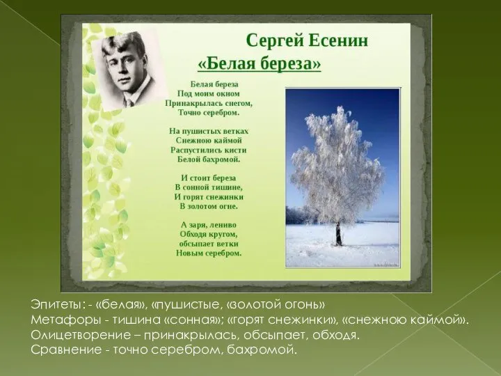 Эпитеты: - «белая», «пушистые, «золотой огонь» Метафоры - тишина «сонная»; «горят