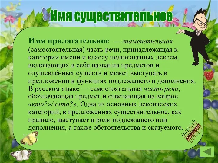 Имя существительное