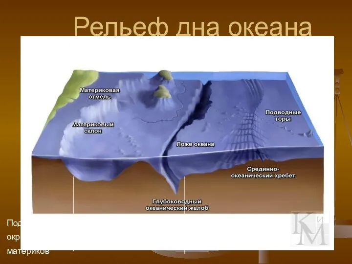 Рельеф дна океана Подводная окраина материков Переходная зона Ложе океана