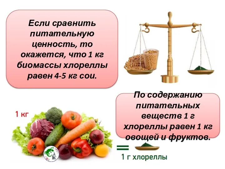 Если сравнить питательную ценность, то окажется, что 1 кг биомассы хлореллы