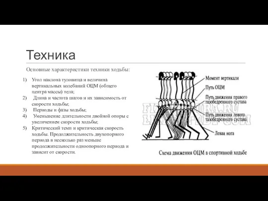 Техника Основные характеристики техники ходьбы: Угол наклона туловища и величина вертикальных