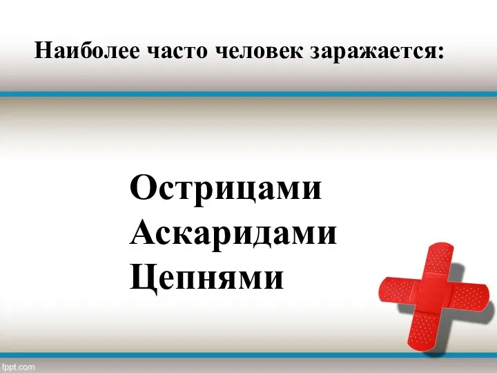 Наиболее часто человек заражается: Острицами Аскаридами Цепнями