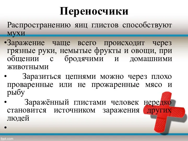 Переносчики Распространению яиц глистов способствуют мухи Заражение чаще всего происходит через