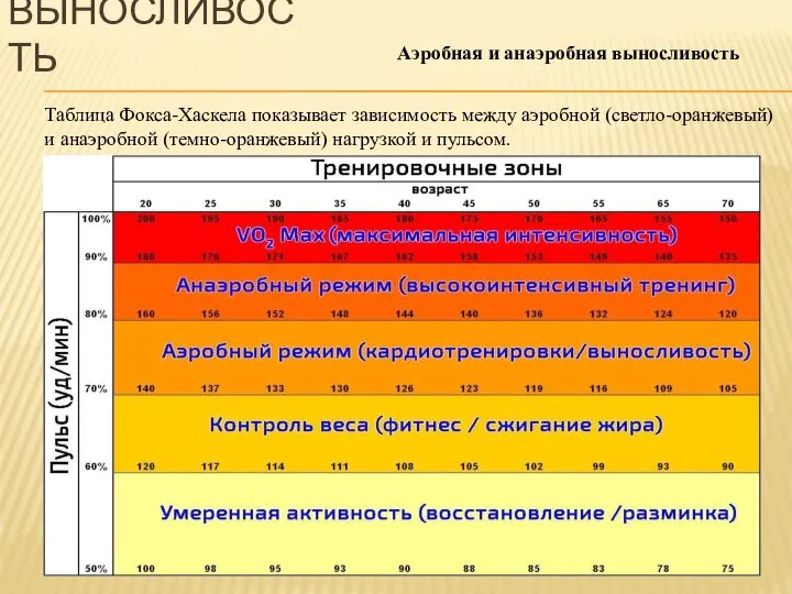 Аэробная и анаэробная выносливость Таблица Фокса-Хаскела показывает зависимость между аэробной (светло-оранжевый)