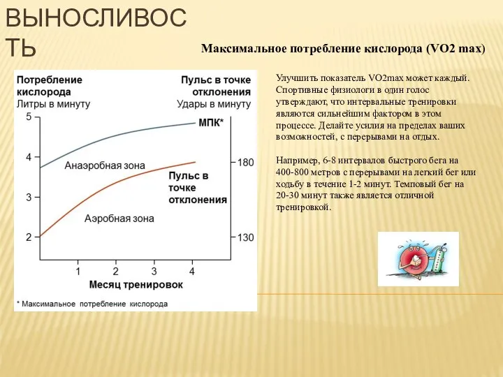 Улучшить показатель VO2max может каждый. Спортивные физиологи в один голос утверждают,