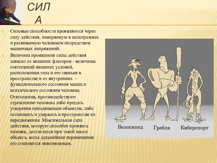 СИЛА Силовые способности проявляются через силу действия, измеряемую в килограммах и