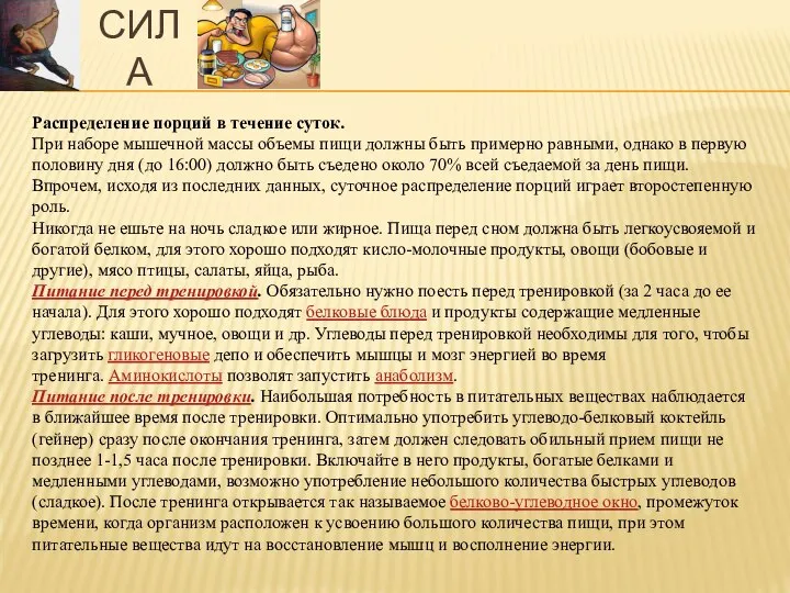 СИЛА Распределение порций в течение суток. При наборе мышечной массы объемы