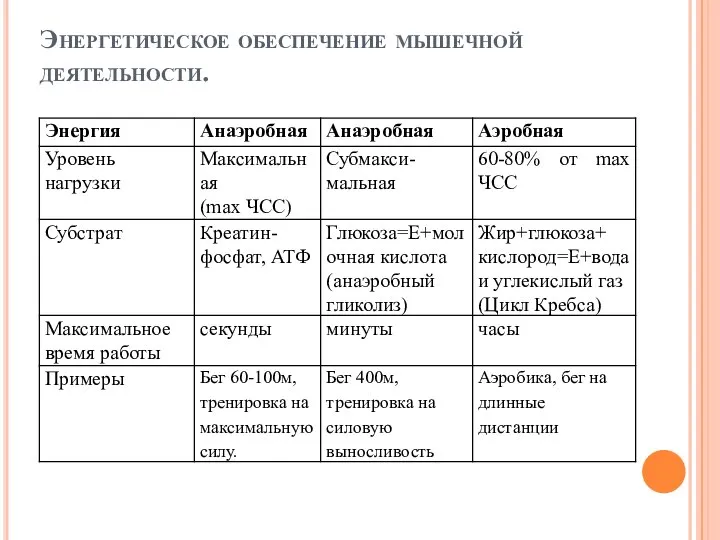 Энергетическое обеспечение мышечной деятельности.