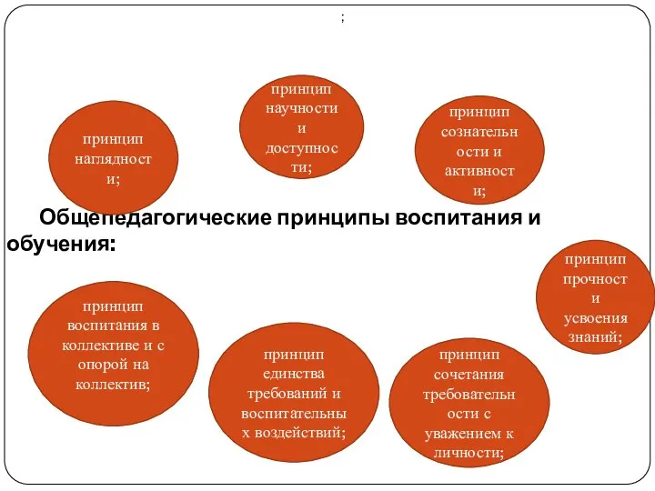 Общепедагогические принципы воспитания и обучения: принцип наглядности; принцип сознательности и активности;