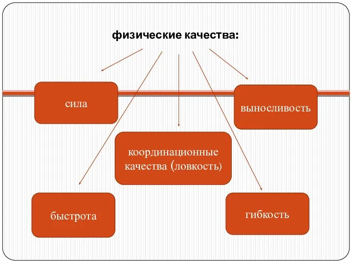 физические качества: выносливость сила гибкость координационные качества (ловкость) быстрота