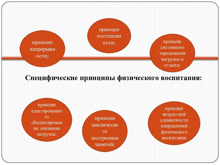 Специфические принципы физического воспитания: принцип циклического построения занятий; принцип постепенности; принцип