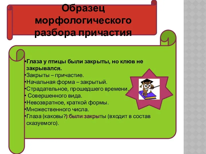 Глаза у птицы были закрыты, но клюв не закрывался. Закрыты –