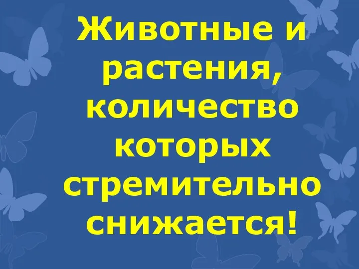 Животные и растения, количество которых стремительно снижается!